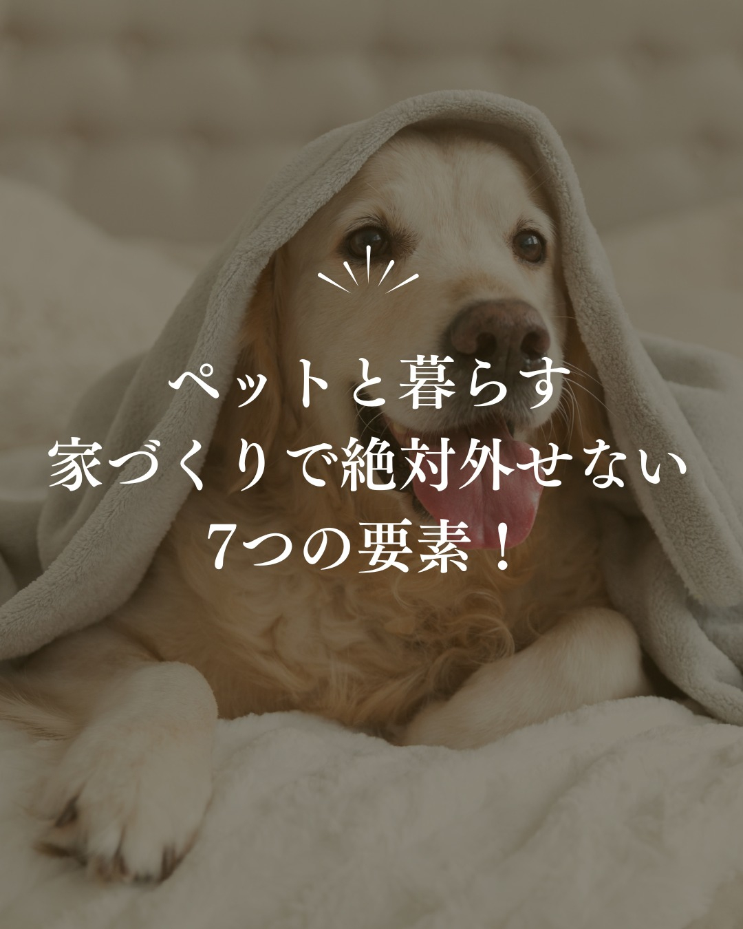 ペットと暮らす家づくりで絶対外せない7つの要素！