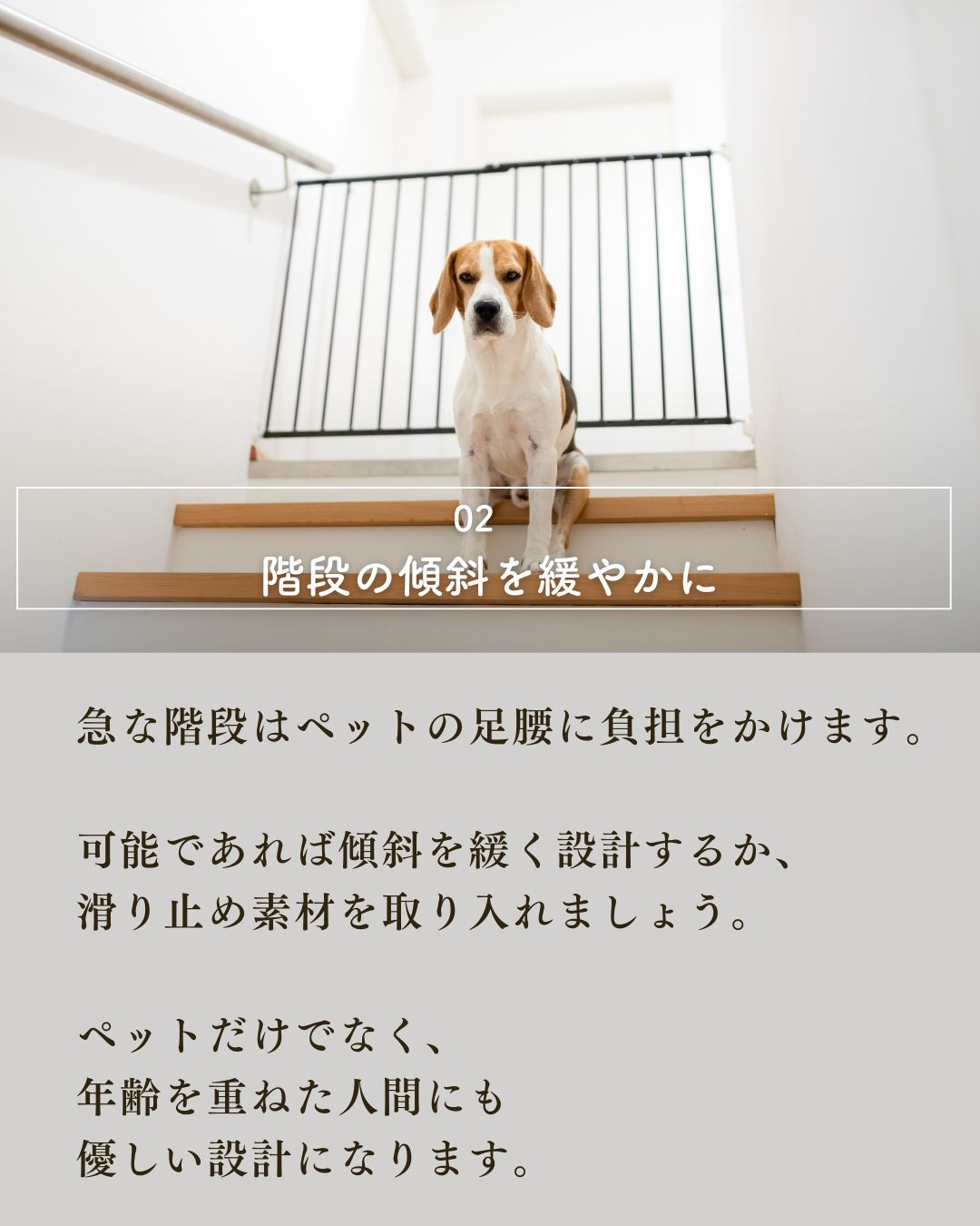 ペットと暮らす家づくりで絶対外せない7つの要素！