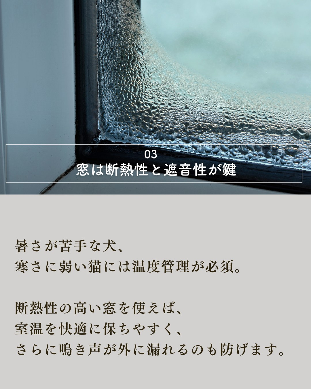 ペットと暮らす家づくりで絶対外せない7つの要素！