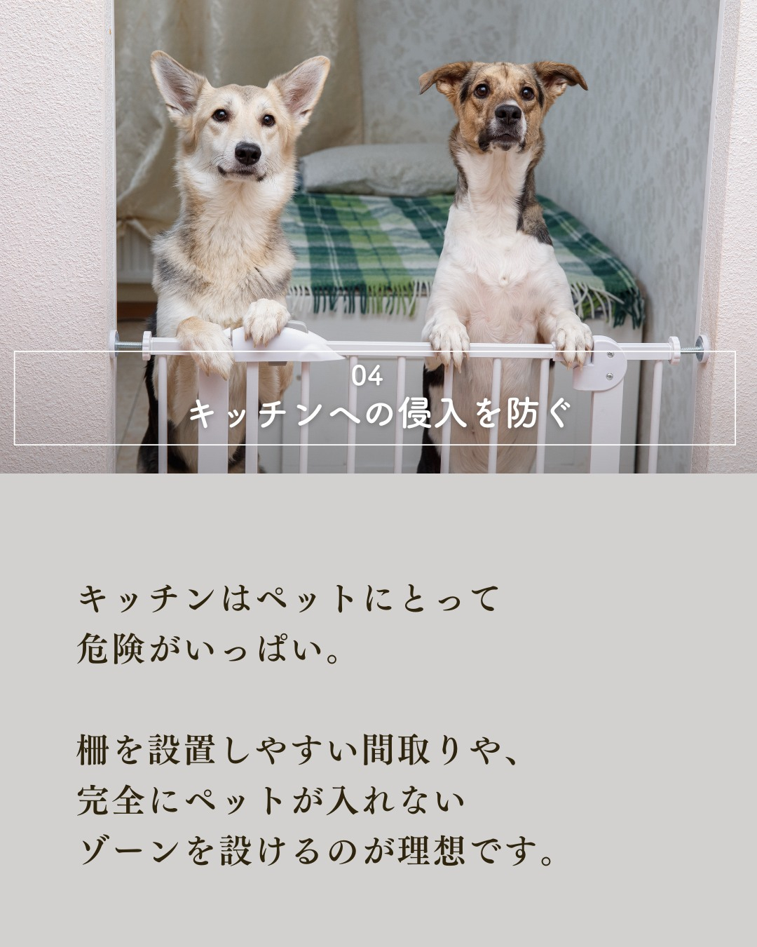 ペットと暮らす家づくりで絶対外せない7つの要素！