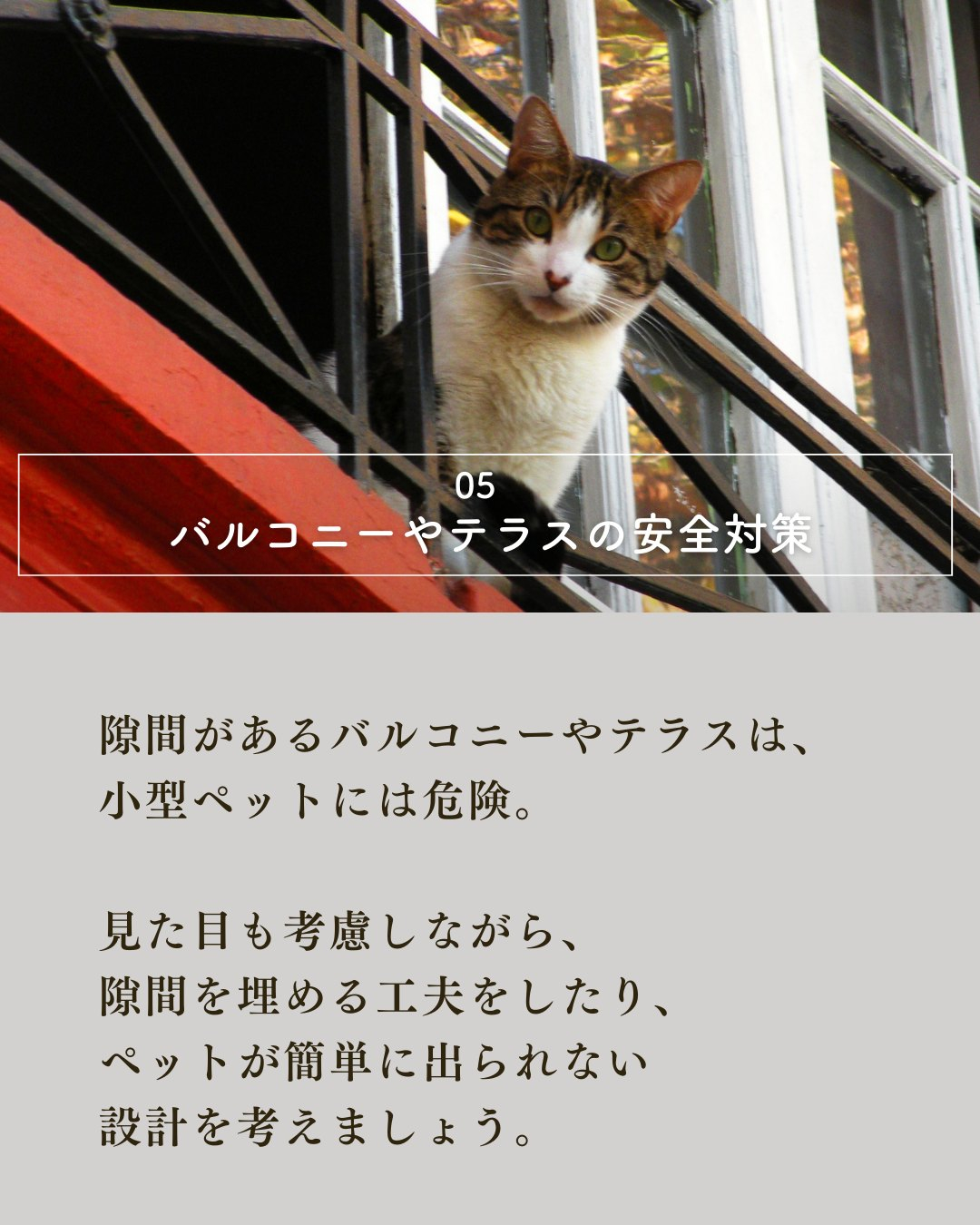 ペットと暮らす家づくりで絶対外せない7つの要素！