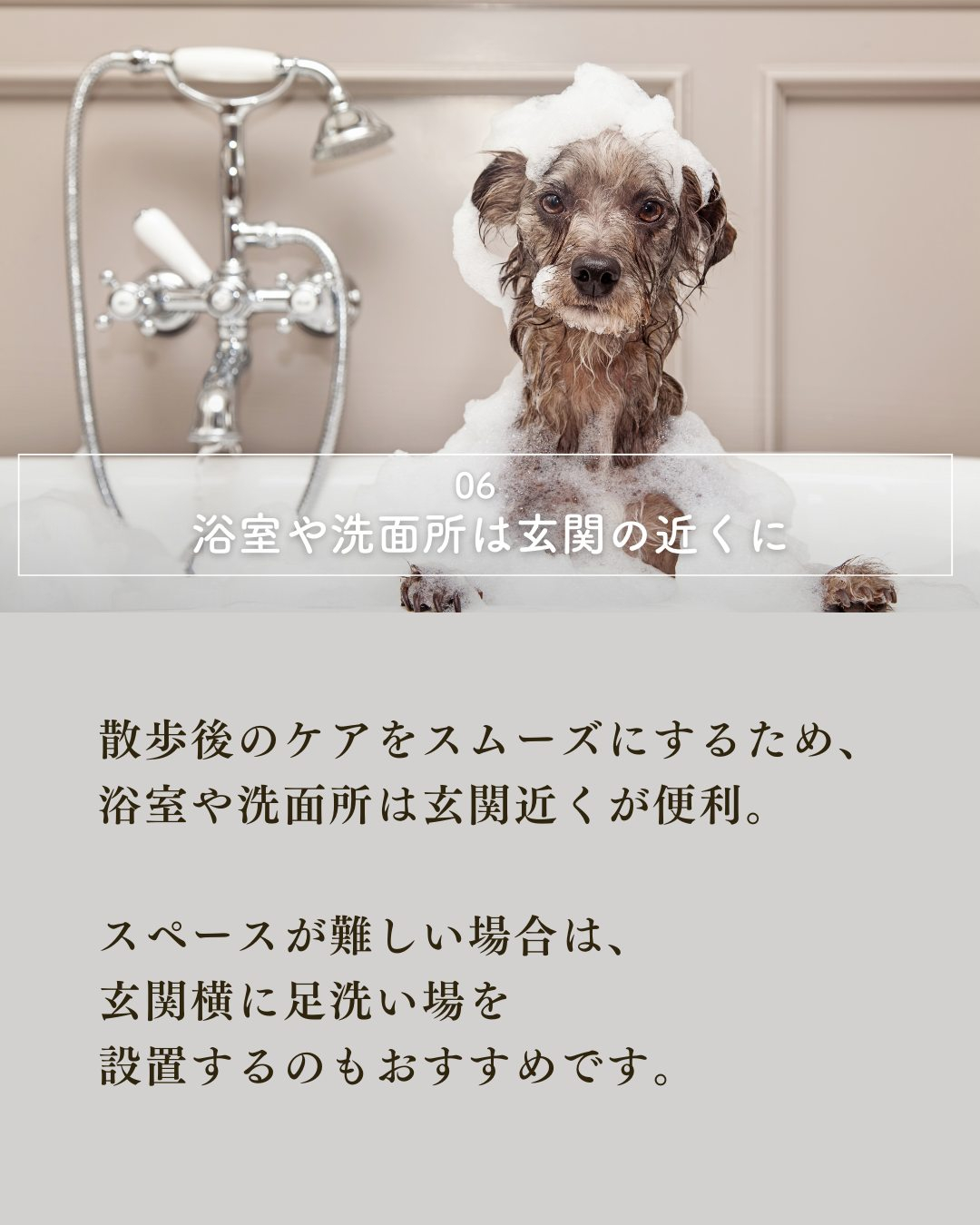 ペットと暮らす家づくりで絶対外せない7つの要素！